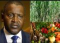 Dangote Restoring Value To Agriculture, Sponsors 2025 Agric Show