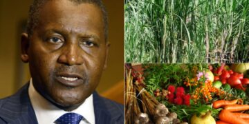 Dangote Restoring Value To Agriculture, Sponsors 2025 Agric Show
