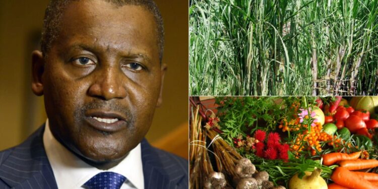 Dangote Restoring Value To Agriculture, Sponsors 2025 Agric Show