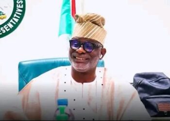 Reps Raise Alarm Over POS, Crypto Fraud Threatening National Security