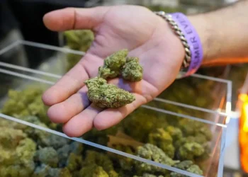 Trump expands access to cannabis in a major shift in drug policy