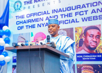 Abandoning Nigerian Youth After Election Unacceptable, NYA Declares