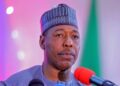 Governor Zulum disburses N1 billion to SMEs in five local government areas