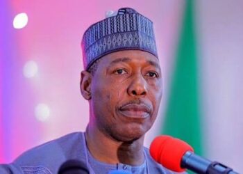 Governor Zulum disburses N1 billion to SMEs in five local government areas