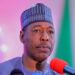 Governor Zulum disburses N1 billion to SMEs in five local government areas