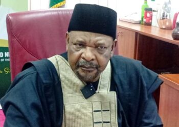 U.S. Military Strikes in Nigeria Breach Sovereignty. Senator Ningi Raises Alarm