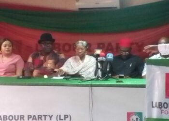 Nenadi Usman resumes legally as LP chairman