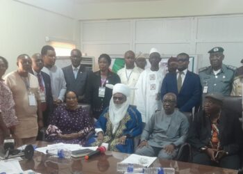 Etsu Nupe urges implementation of existing laws to end small arms proliferation