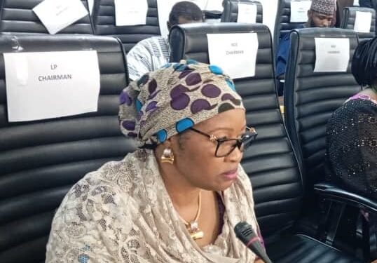 LP zones 2027 presidential ticket to South