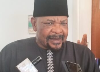 Ningi Blasts South Africa Over Xenophobic Killings
