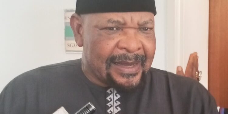 Ningi Blasts South Africa Over Xenophobic Killings
