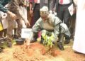 Minister of Environment says FG to plant 20bn trees by 2030 to boost climate resilience