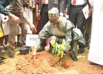 Minister of Environment says FG to plant 20bn trees by 2030 to boost climate resilience