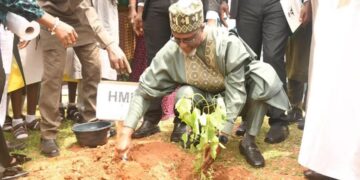 Minister of Environment says FG to plant 20bn trees by 2030 to boost climate resilience