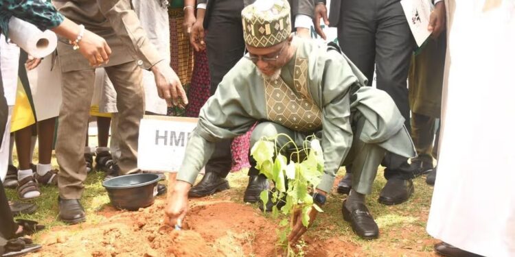 Minister of Environment says FG to plant 20bn trees by 2030 to boost climate resilience