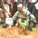 Minister of Environment says FG to plant 20bn trees by 2030 to boost climate resilience