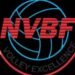 Customs CG Volleyball Premier League All Set For Colourful Closing