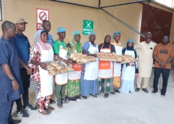 AATF-led Coalition Ignites Nigeria’s Cassava Bread Ambition