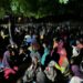 Nigerian Army rescues 360 women, children abducted from Ngoshe