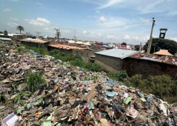 KADUNA MONARCH, CLIMATE EXPERTS URGE GOVT TO CLEAR TUDUN-ILU DUMP SITE, CONVERT IT TO SHOPS