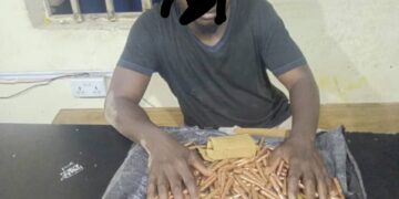 Police Foil Kidnapping Attempt, Arrest Two Suspected Arms Traffickers, Recover Arms And 300 Rounds Of Ammunition In Kaduna