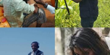 Africa’s Media Must Strengthen El Niño Awareness Through Climate Journalism